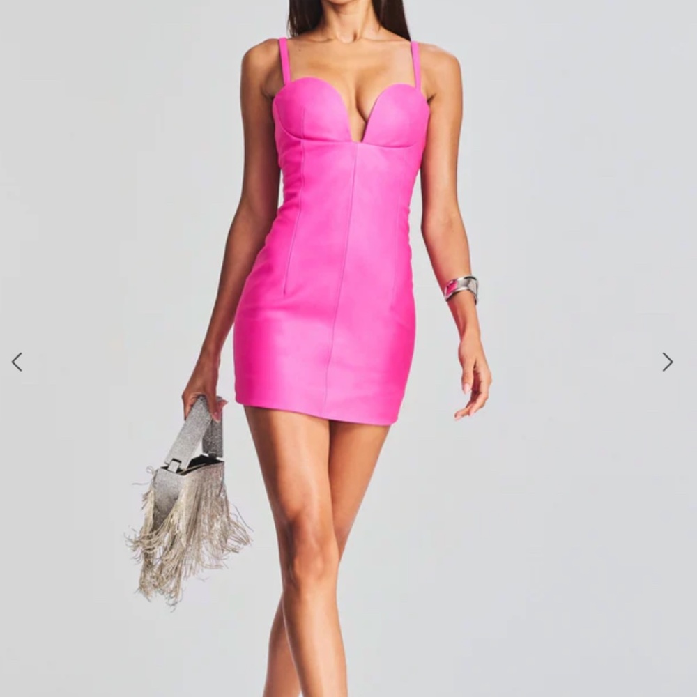 Retrofete Phoebe Leather Dress Knockout Pink Small